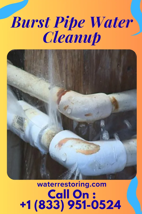 Burst Pipe Water Cleanup in Rossford, OH