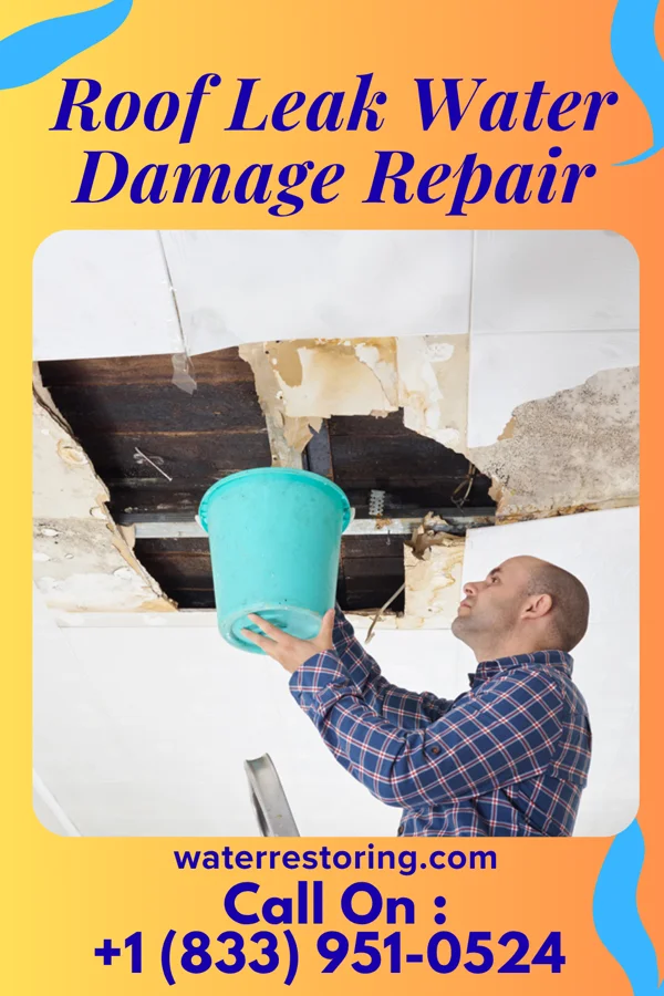 Roof Leak Water Damage Repair in Rossford, OH