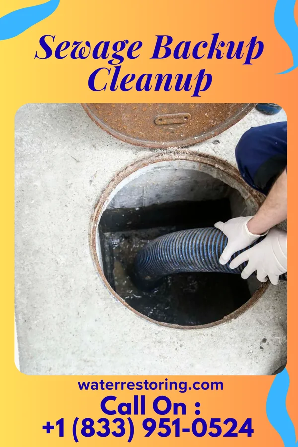 Sewage Backup Cleanup in Rossford, OH
